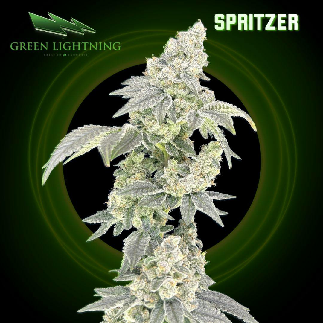 Spritzer | 3.5G Flower