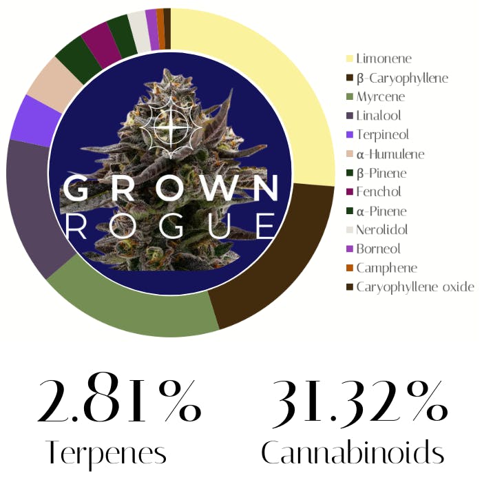 Blue Pinot by Grown Rogue | Flower |