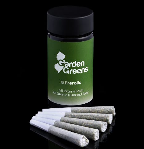 Rainbow Guava I  I 5 Pack I Garden Greens