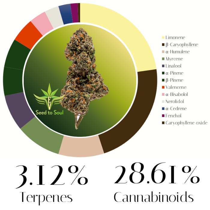 OG Runts by EV Family Farms | Flower |