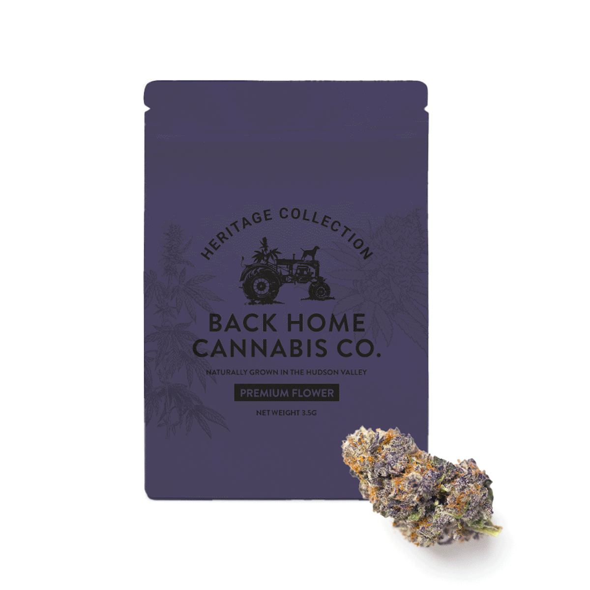 Back Home Cannabis | Flower | 3.5g | Gorilla Glue