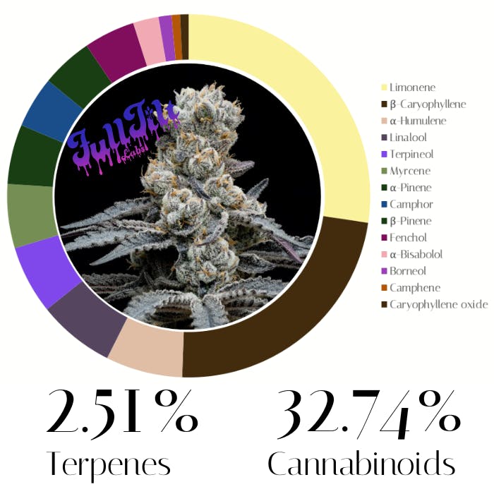 Blueberry Cherry by FullTilt Labs | Flower |
