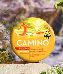 Mango Serenity | 1:1 THC:CBD | 100mg Gummies