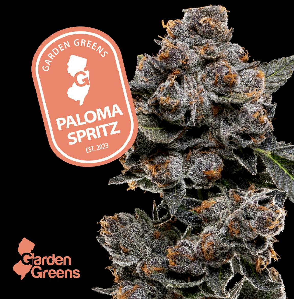 Paloma Spritz I  I Big Buds I Garden Greens