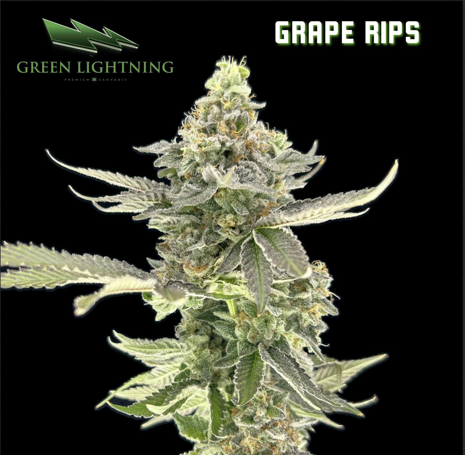 Grape Rips |