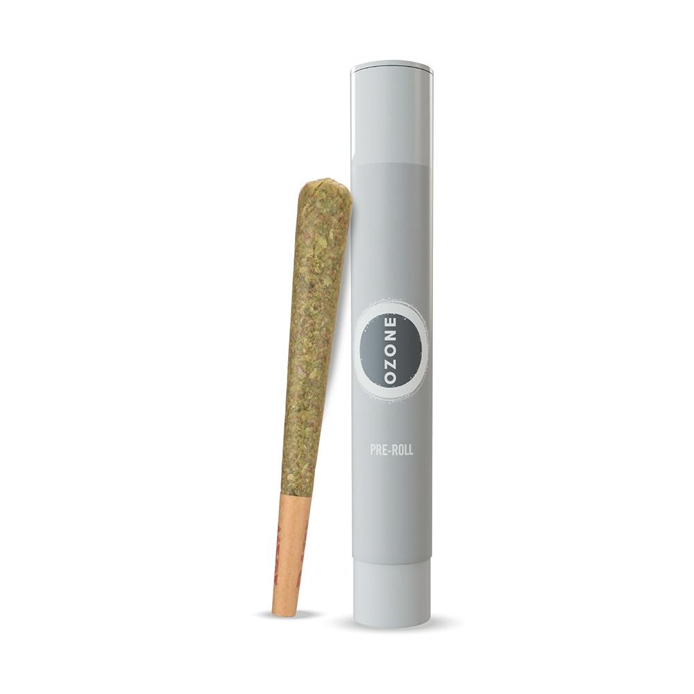 Mandarin Z-Pre Rolls Single-