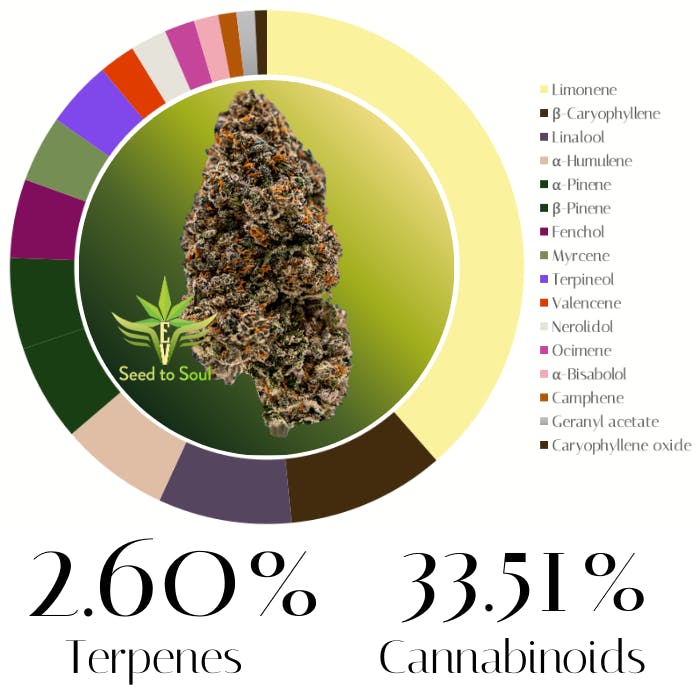 Purple Milk by EV Family Farms | Flower |