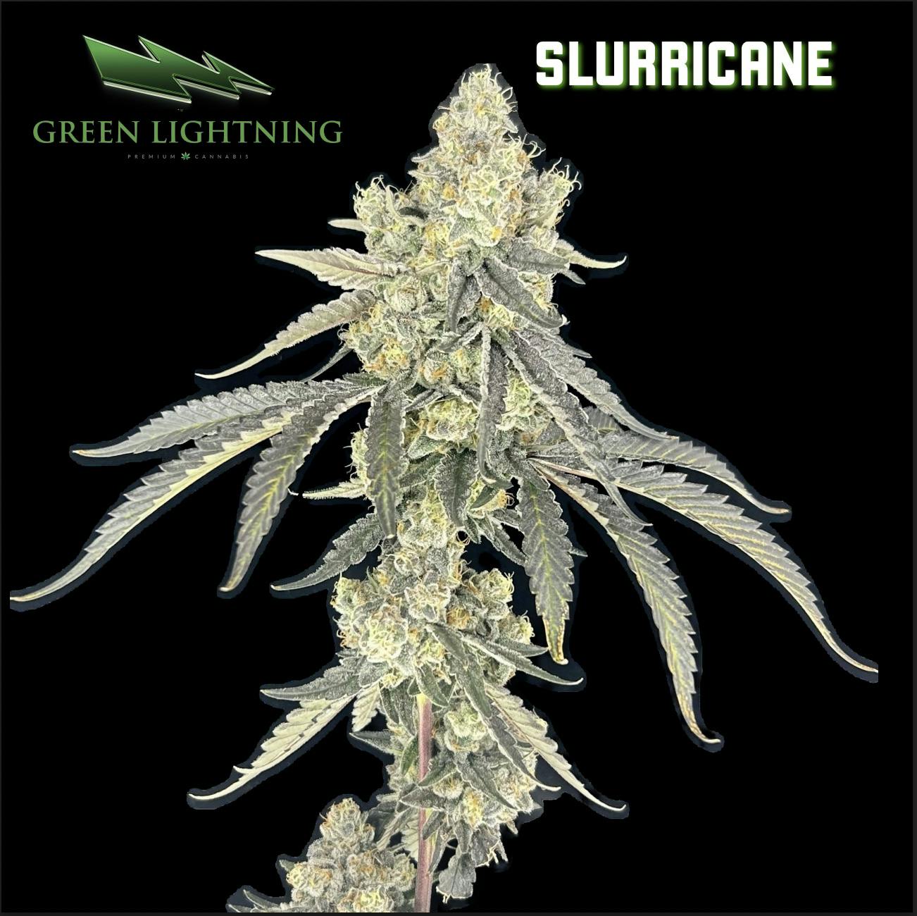 Slurricane | 3.5G Small Buds