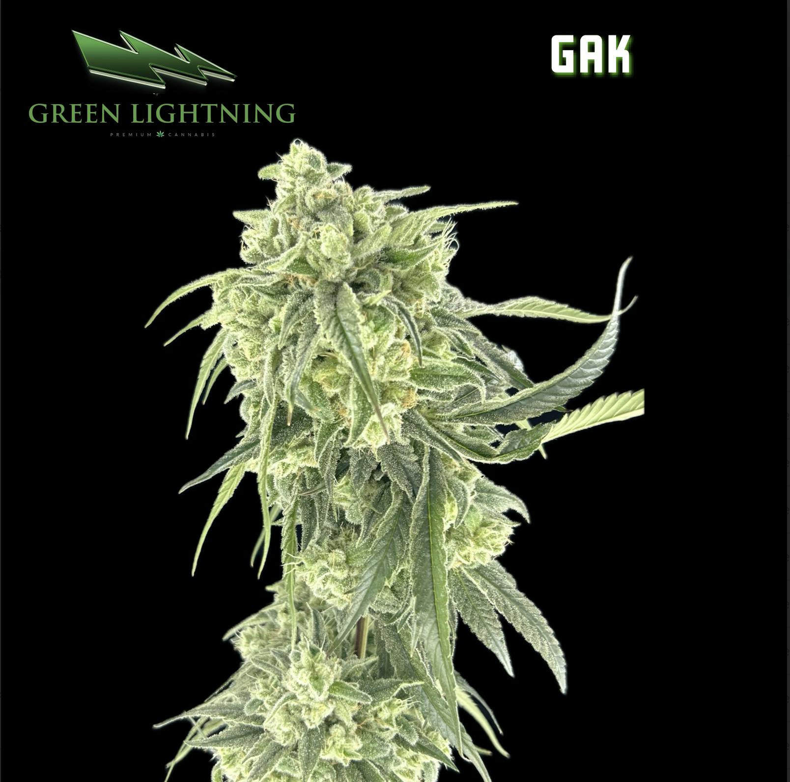 GAK |