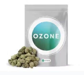 Black Amber I Popcorn I  I Ozone