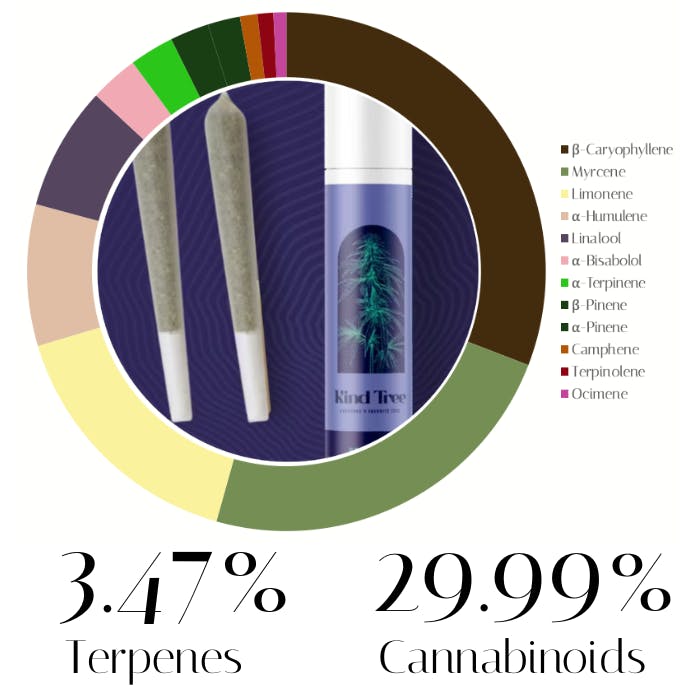 Animal Face x Sherb Crasher by Kind Tree | Pre-Rolls |