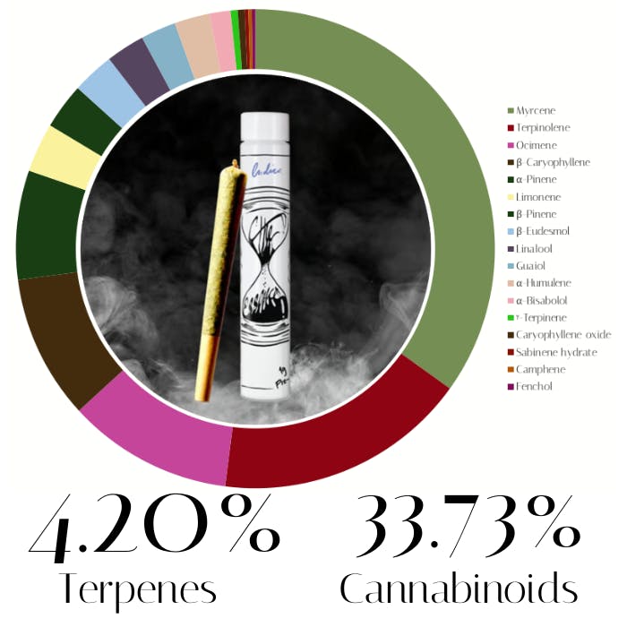 B52 Bomber by The Essence | Pre-Rolls |