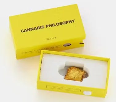 Cannabis Philosophy - Secret Meeting -  - Hash Cube