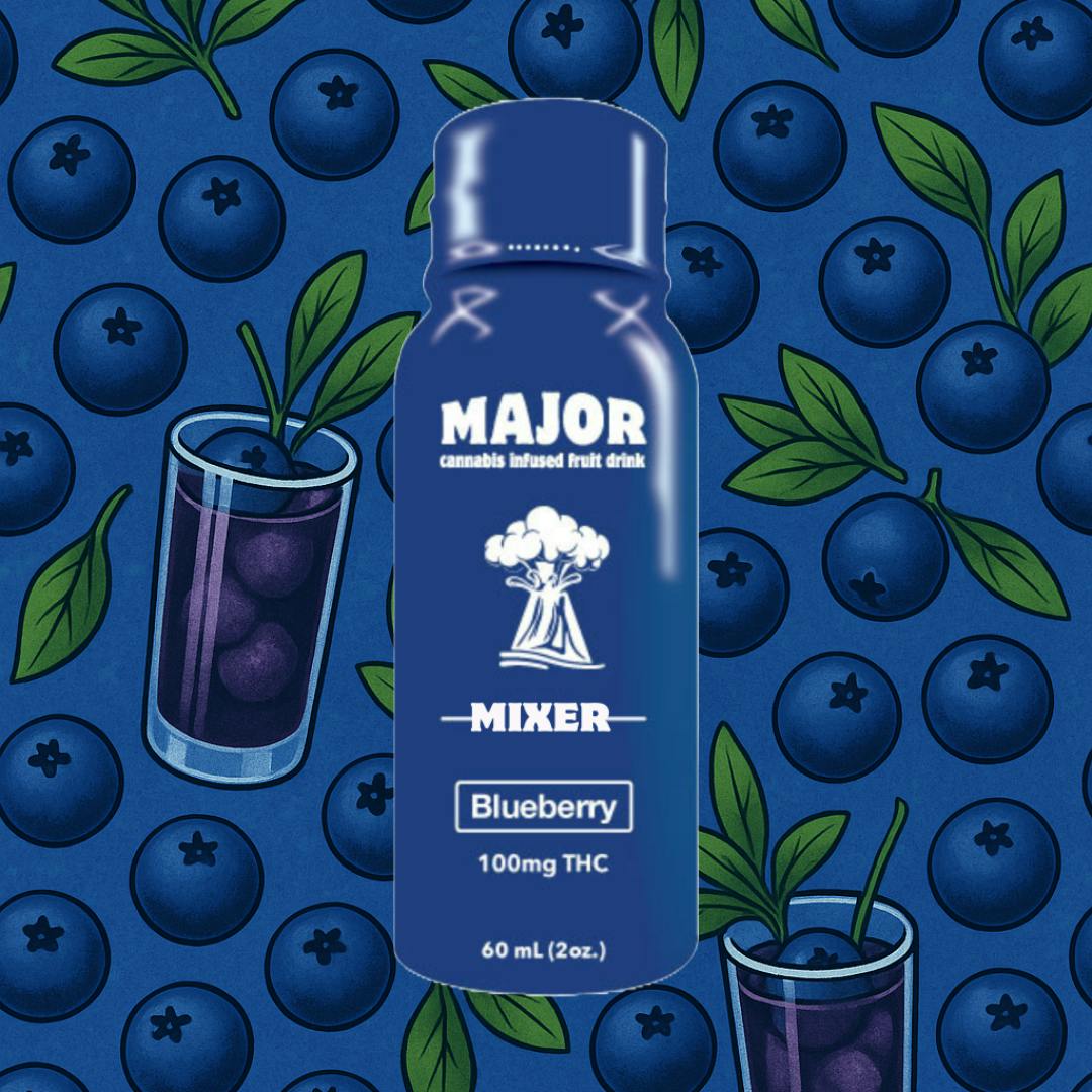 Major - Blueberry - Fast Acting Shot - 100mg