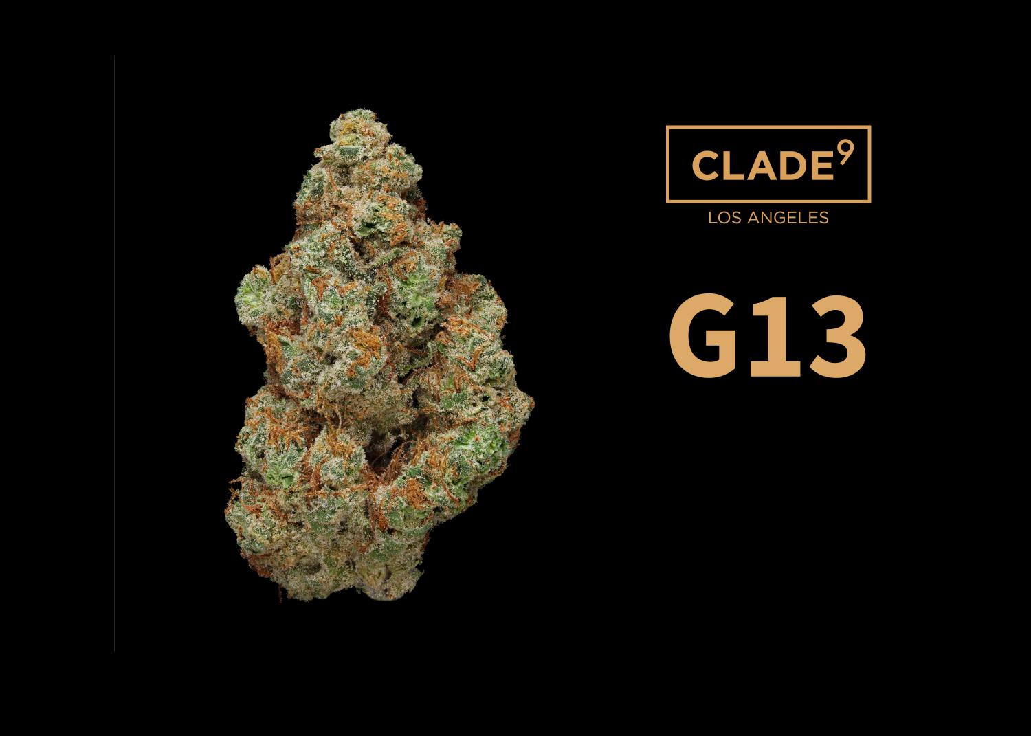 G13 |
