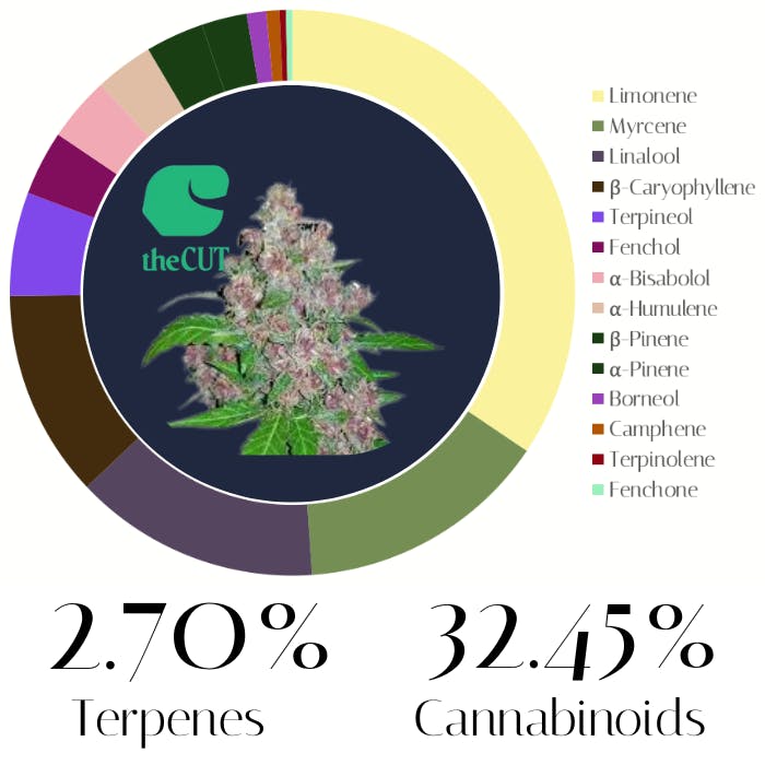Glitter Glue by The Cut | Flower | 3.
