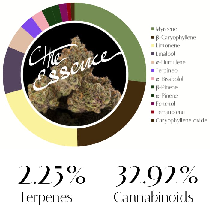 Space Mints by The Essence | Flower | 14.