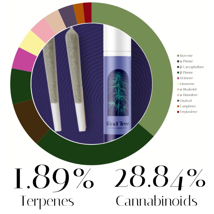 Blue Lemonade by Kind Tree | Pre-Rolls | 1.