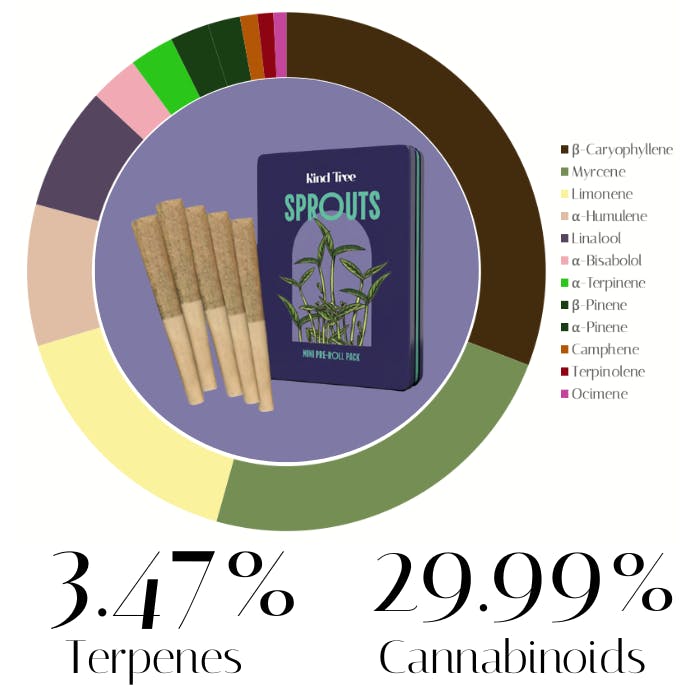 Animal Face x Sherb Crasher by Kind Tree | Pre-Rolls | 1.