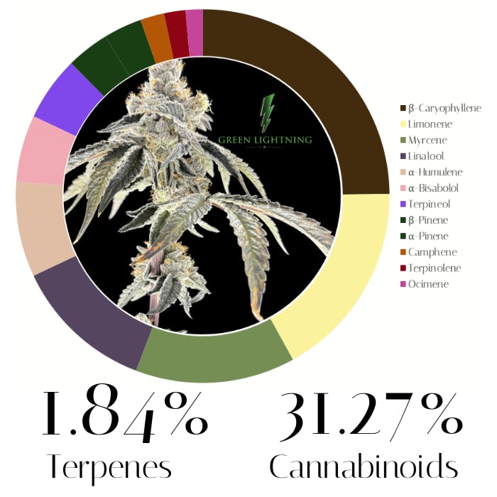 Blue Lobster  by Green Lightning | Flower | 7.