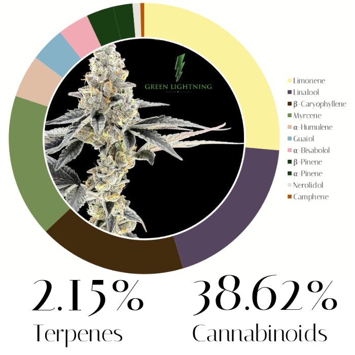 Biscotti by Green Lightning | Flower | 3.