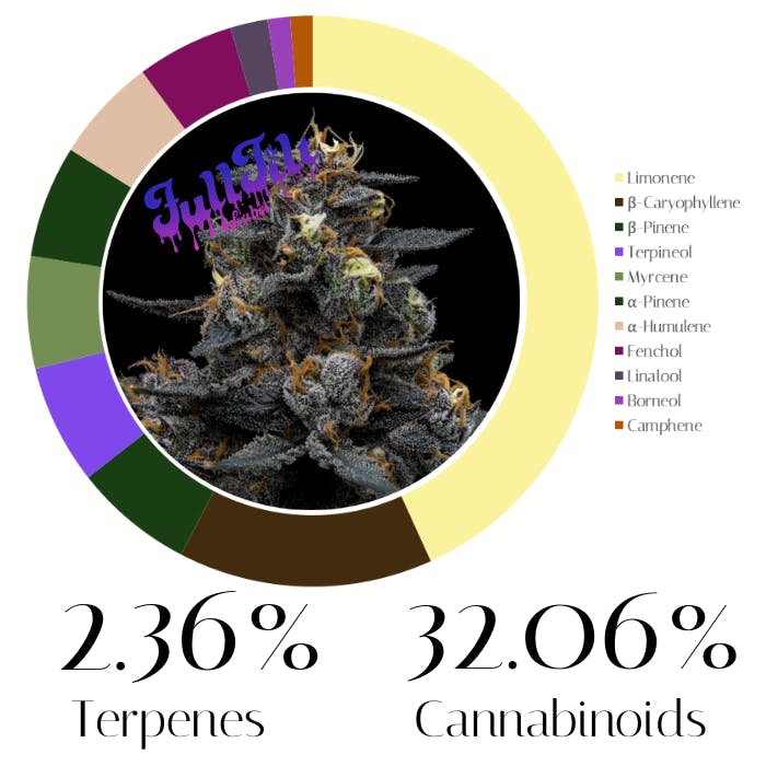 Frost Donkey by FullTilt Labs | Flower | 3.