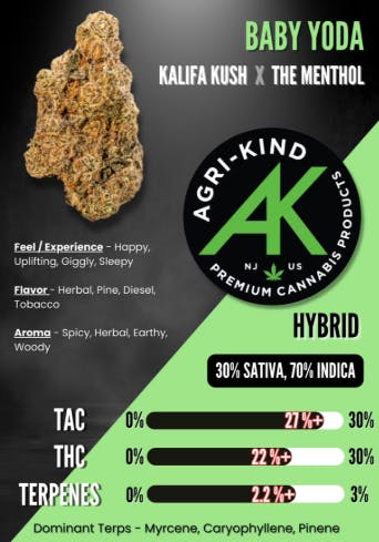 Agri-kind - Baby Yoda -  - Flower