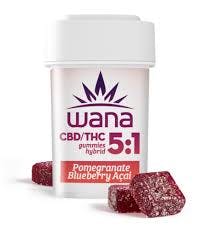 Pomegranate Blueberry Acai | 5:1 | CBD:THC | 100mg Gummies
