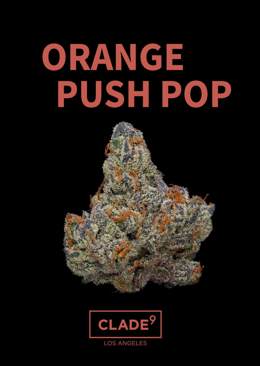 Orange Push Pop | 3.