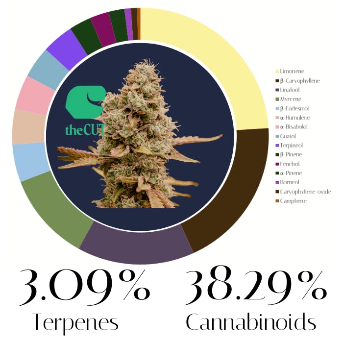 Cake Boss by The Cut | Flower | 7.