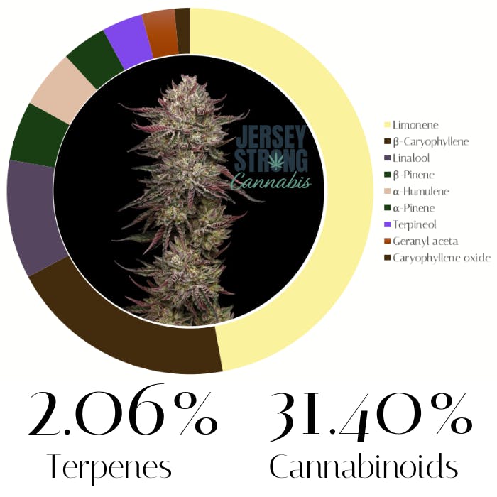 Chicken N Waffles by Jersey Strong | Flower | 3.