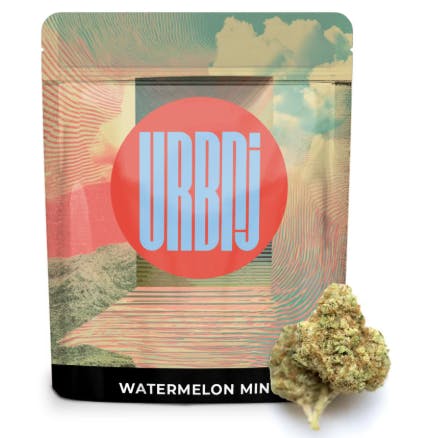 Watermelon Mint I  I Whole Flower I URBNJ