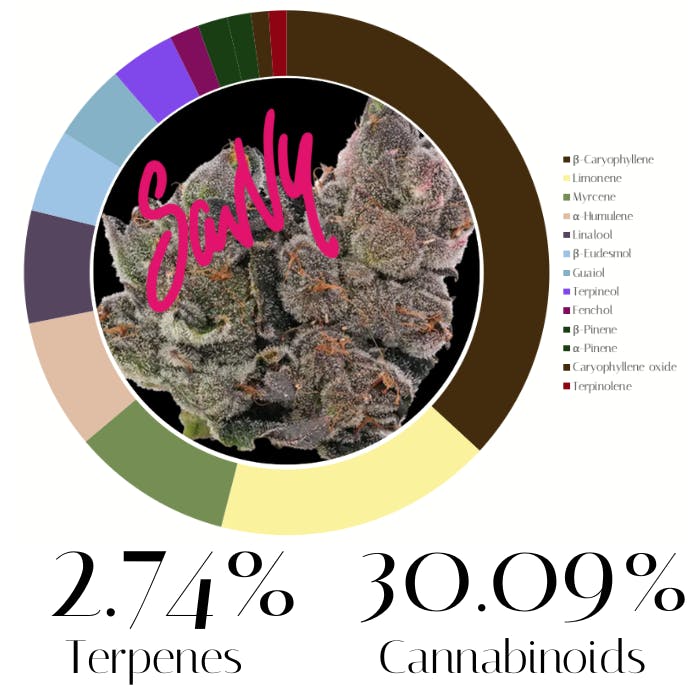 Dosilato by Savvy | Flower | 28.