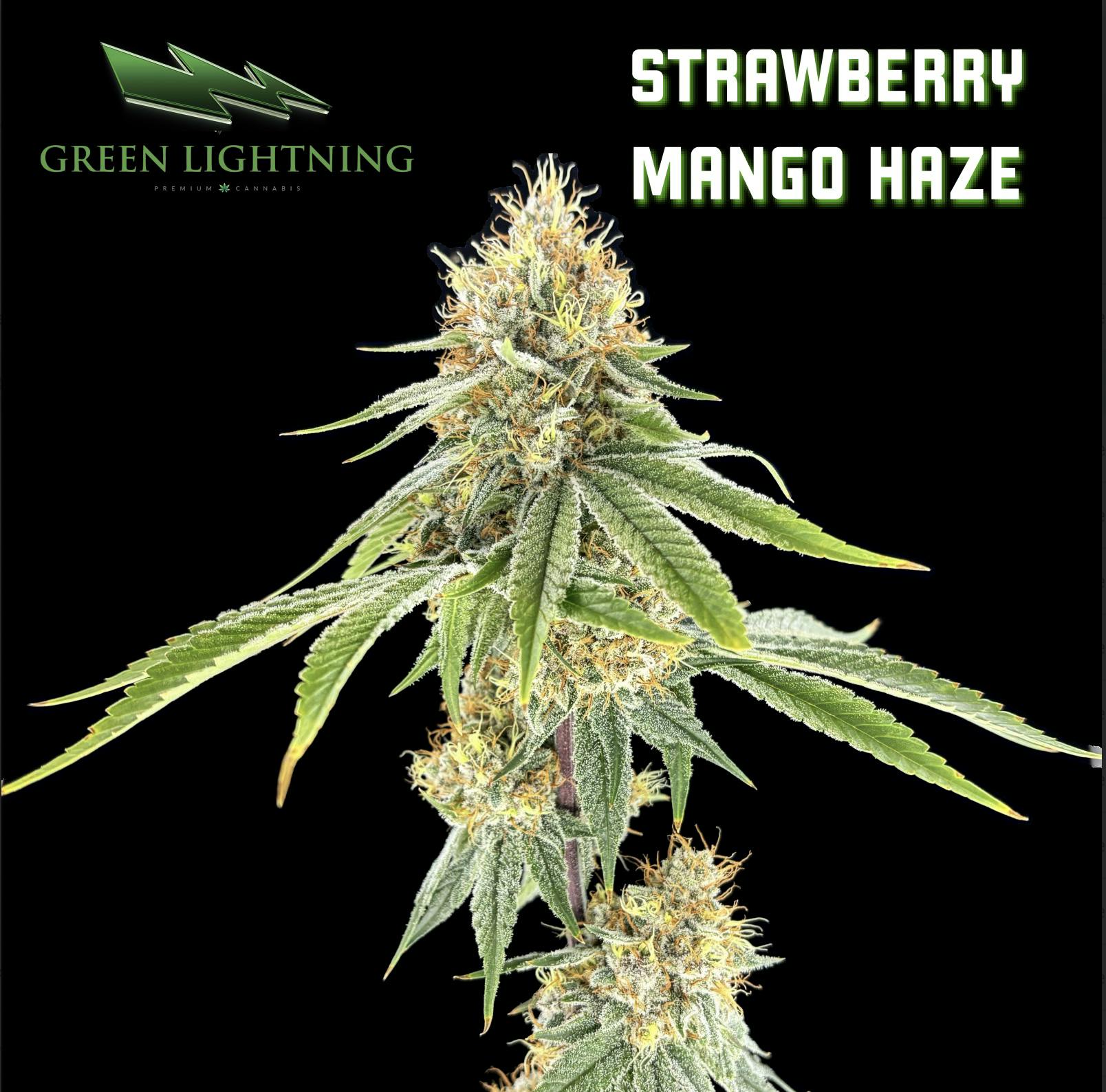Strawberry Mango Haze | 3.