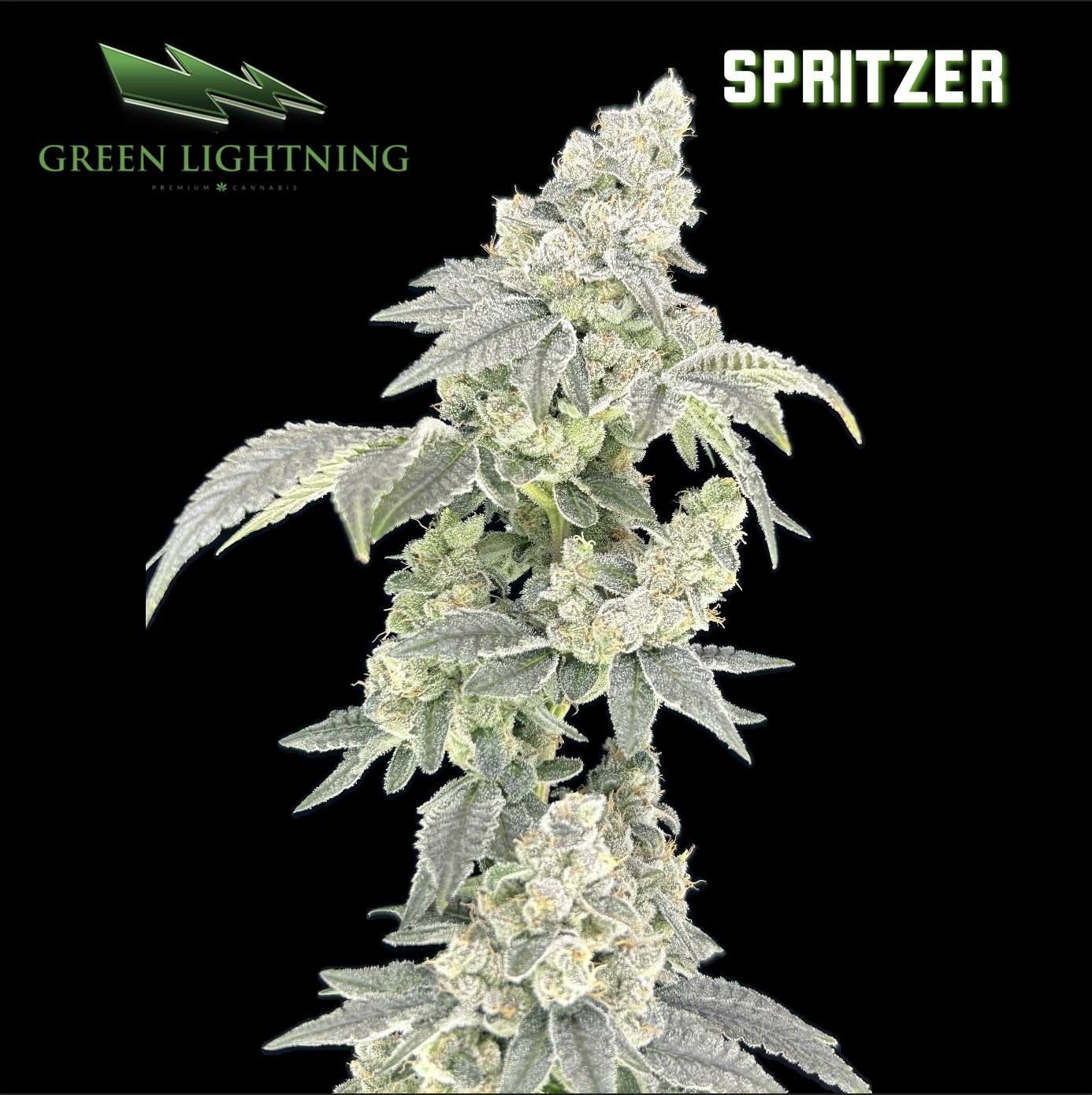 Spritzer | 3.5G Small Buds