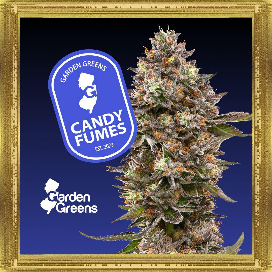 Candy Fumez | 3.5G Flower