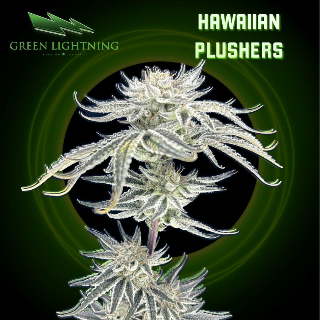 Hawaiian Plushers | 3.5G Small Buds