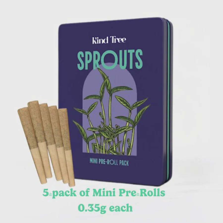 Kind Tree - Chem Krush - Sprouts - 5pk - 1.
