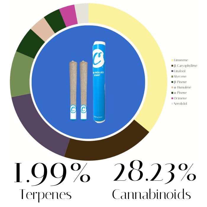 Pacman by Cookies | Pre-Rolls | 1.