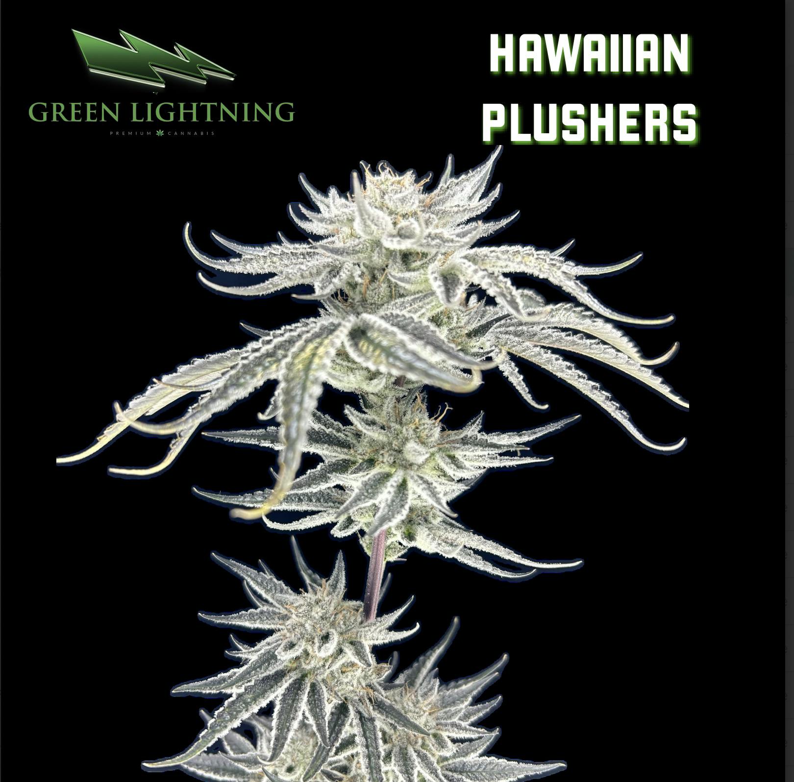 Hawaiian Plushers | 3.