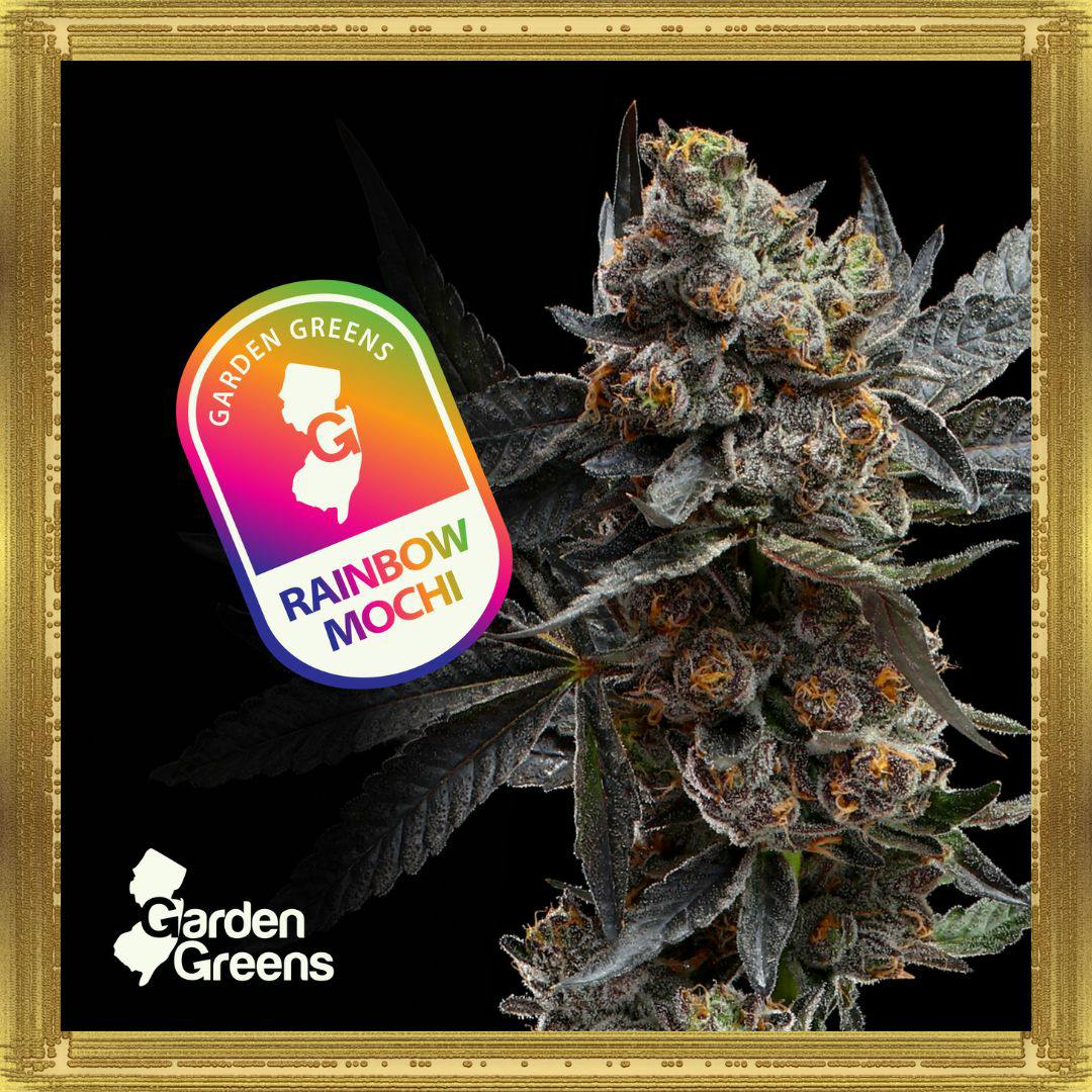 Rainbow Mochi | 3.5G Flower