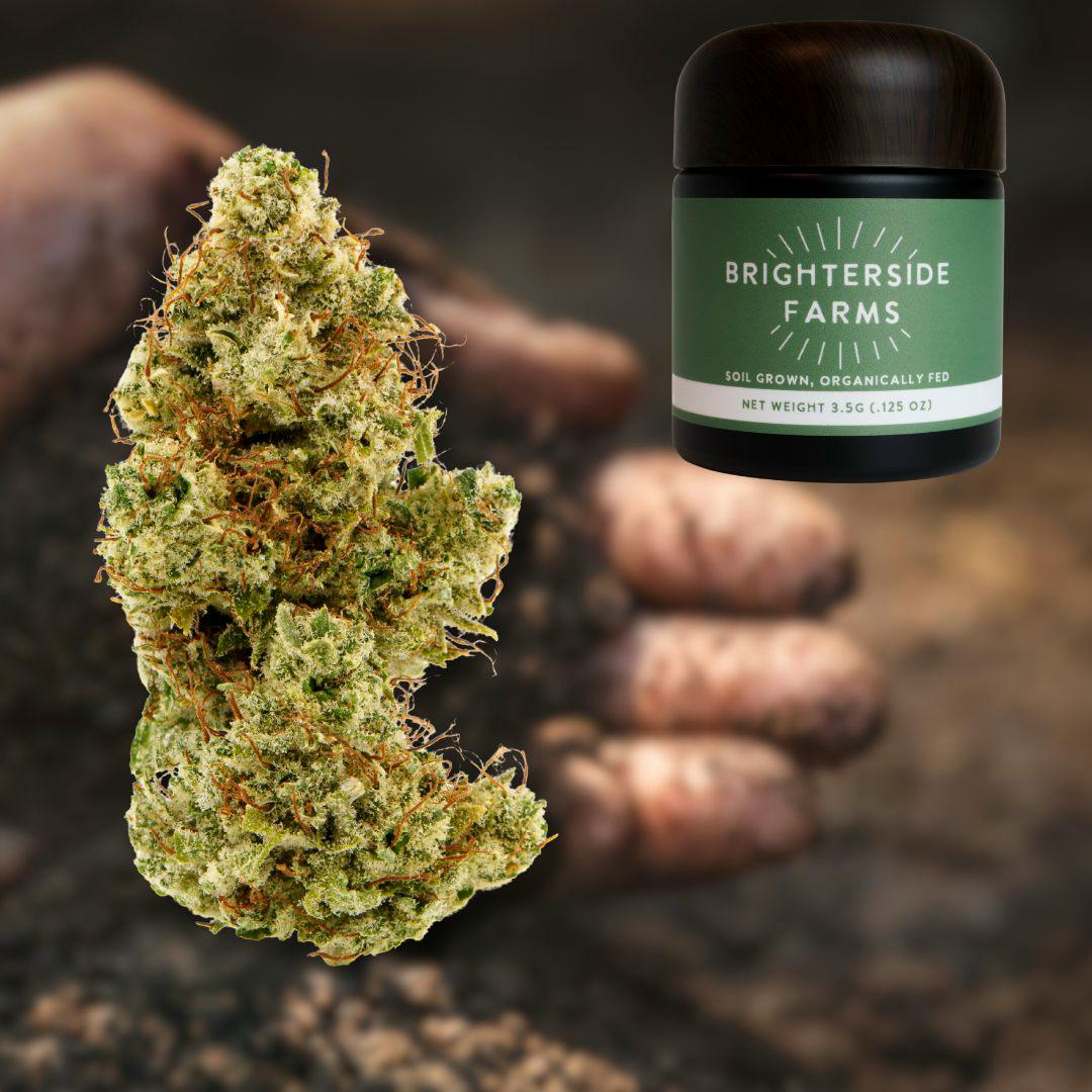 Forbidden Zkittles - 3.5g Flower