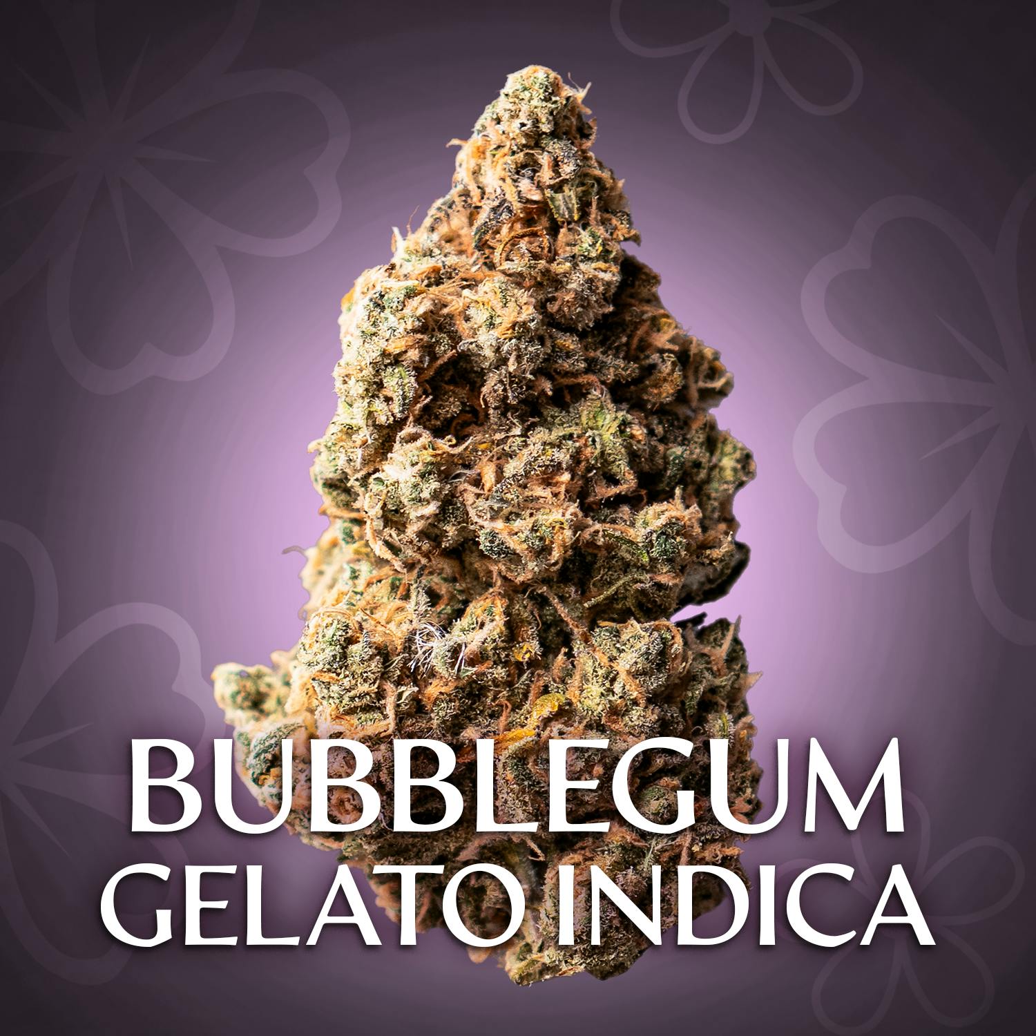 Double Bubble Gelato - 3.5g