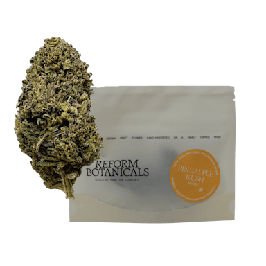 Reform Botanicals | CBD Flower | 3.5g | Pineapple Kush