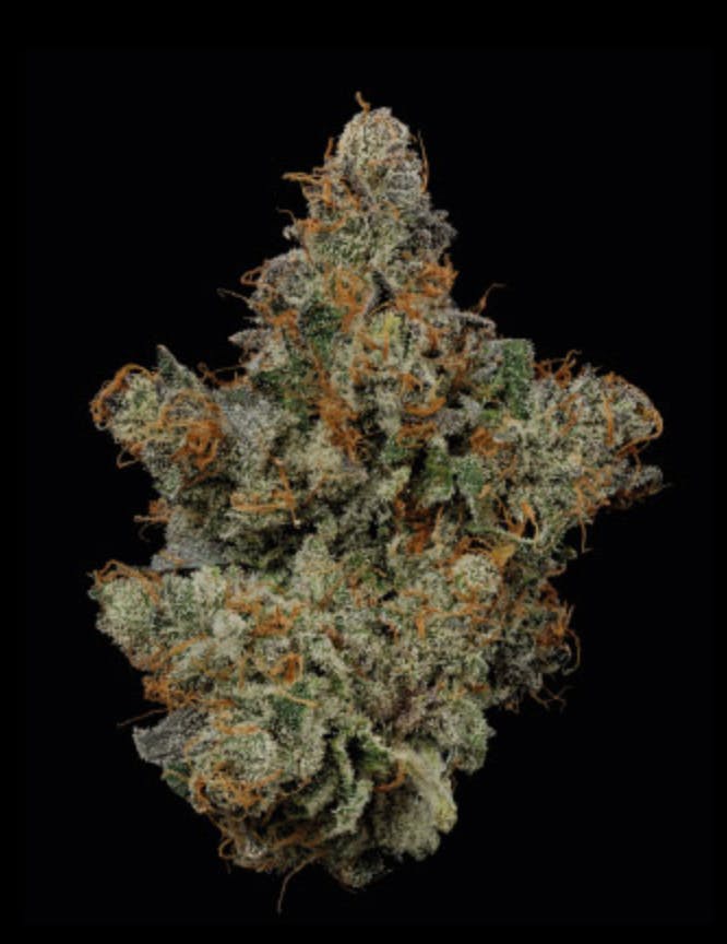 1768498349404 Product Images 01467f74 Dbd0 42ea 8414 7a862625a2b1 461607f3 Fee0 4810 Abcc 1090bf361a52 Original