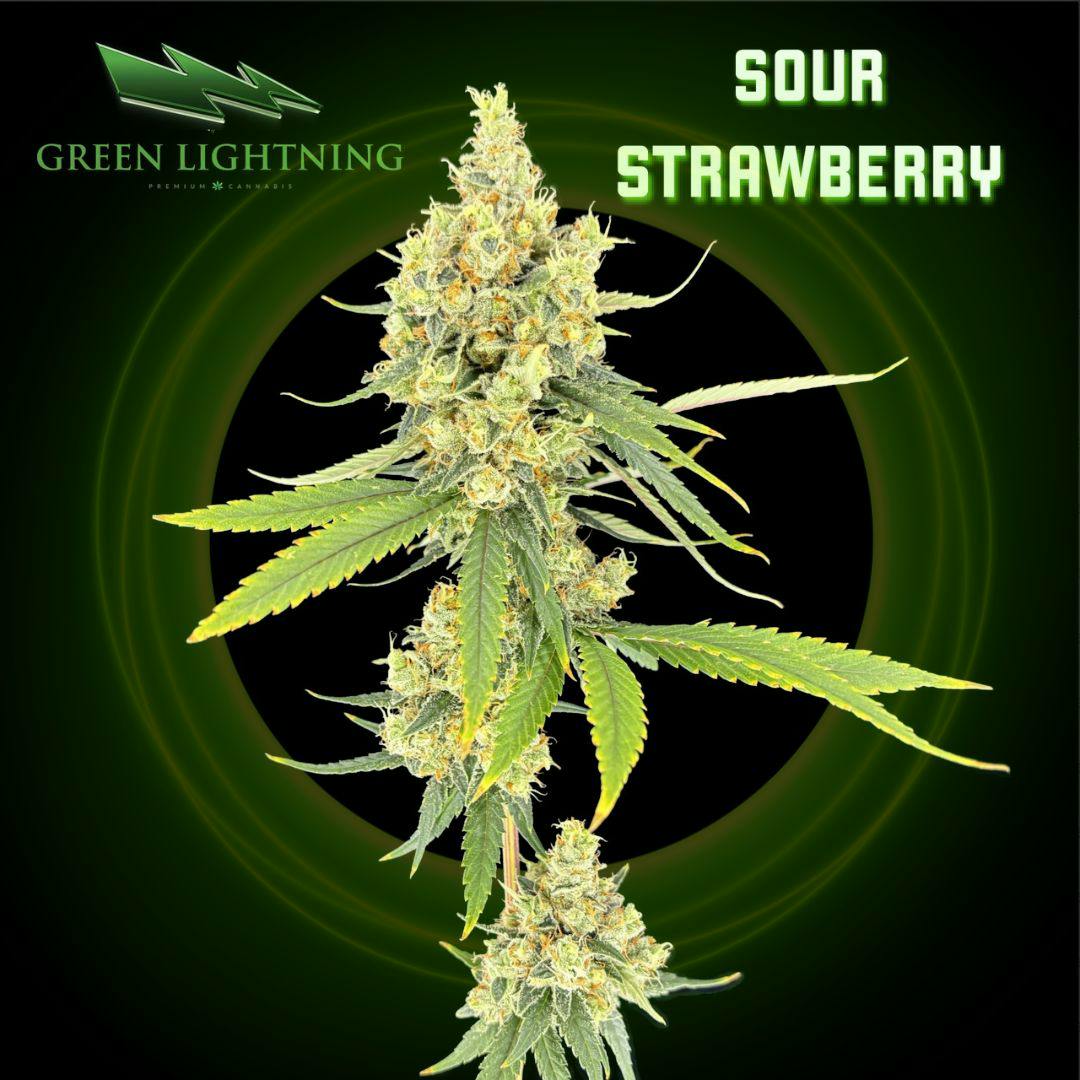 Sour Strawberry | 3.5G Flower