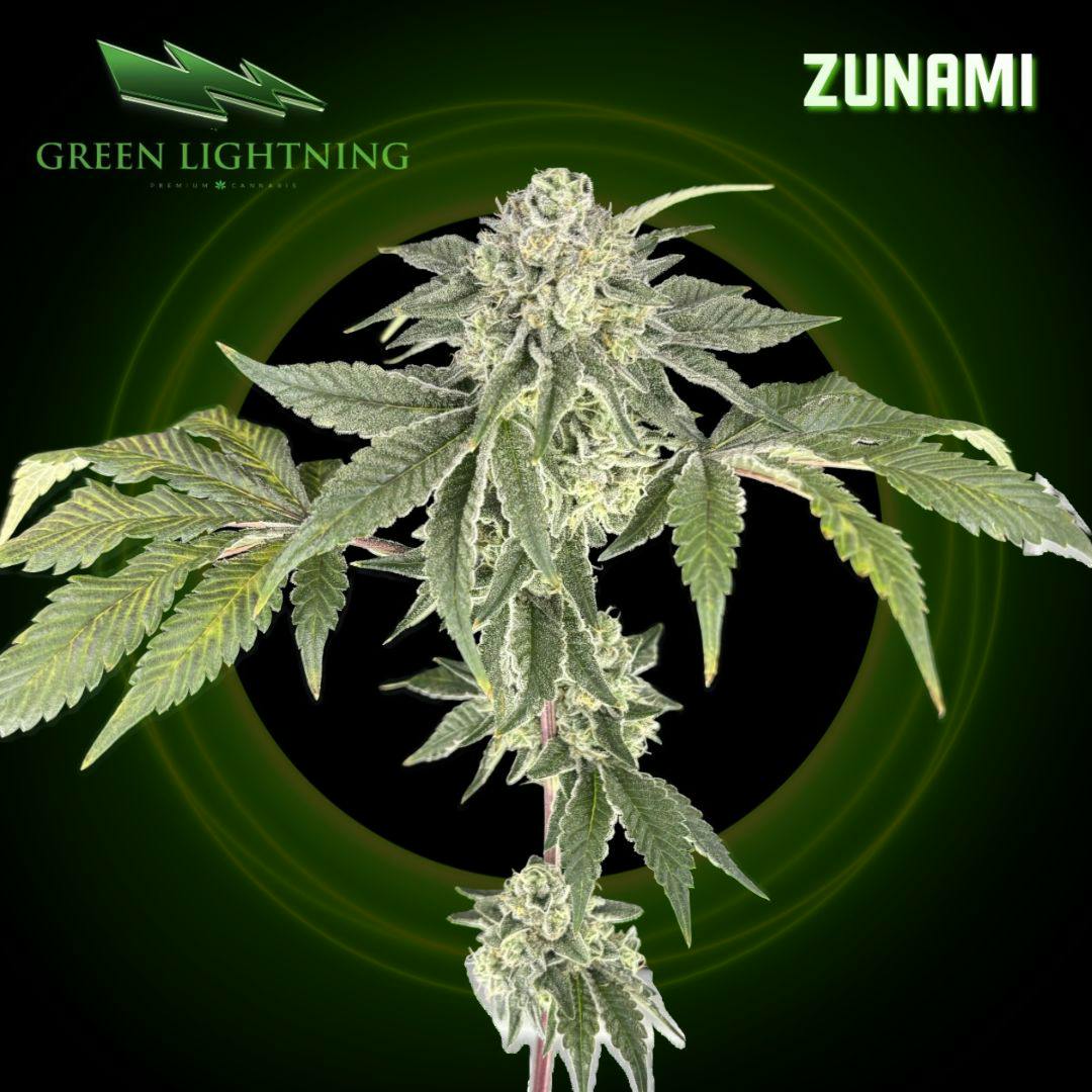 Zunami | 7G Small Buds