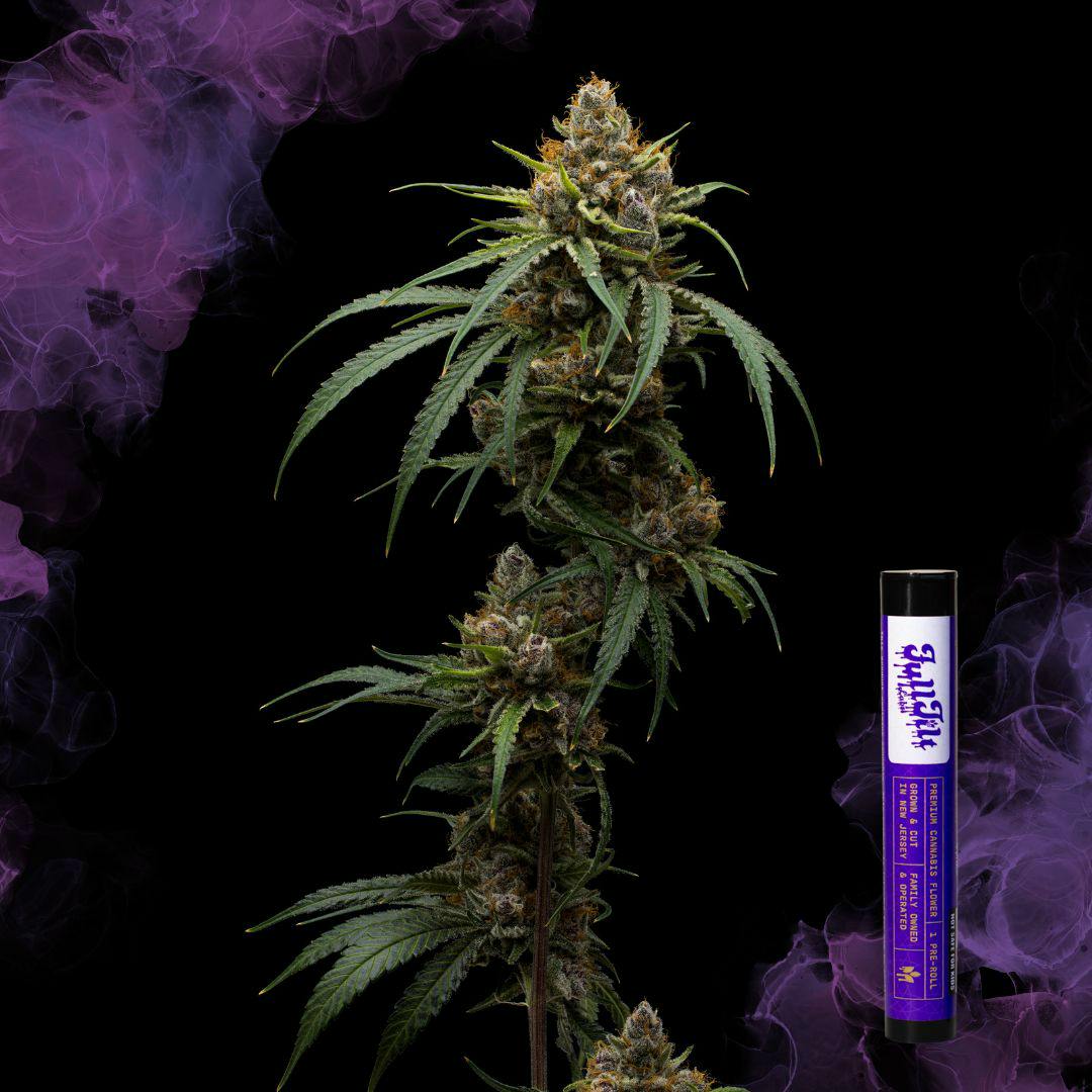 Black Cherry Punch | 1G Flower