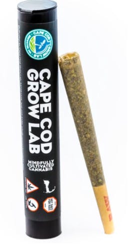 1770139402671 Product Images 5748fed7 6302 4d80 94a2 Fba39b4b8ea6 6a6d915d A318 4e6d 81a8 158aca824776 Original