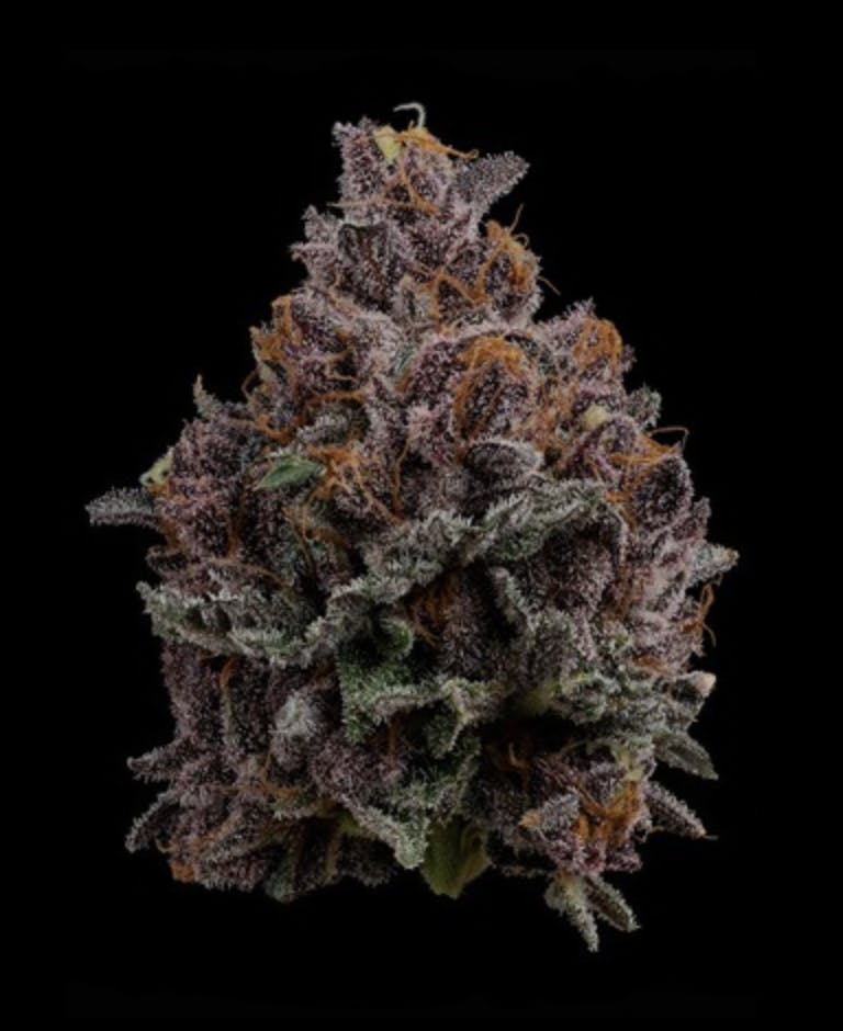 1770160979643 Product Images A09f3f8d Cee9 4ea1 A854 85c088b1d8e1 4d1ab6a5 Db1c 440e 8387 85801ed2a7ed Original